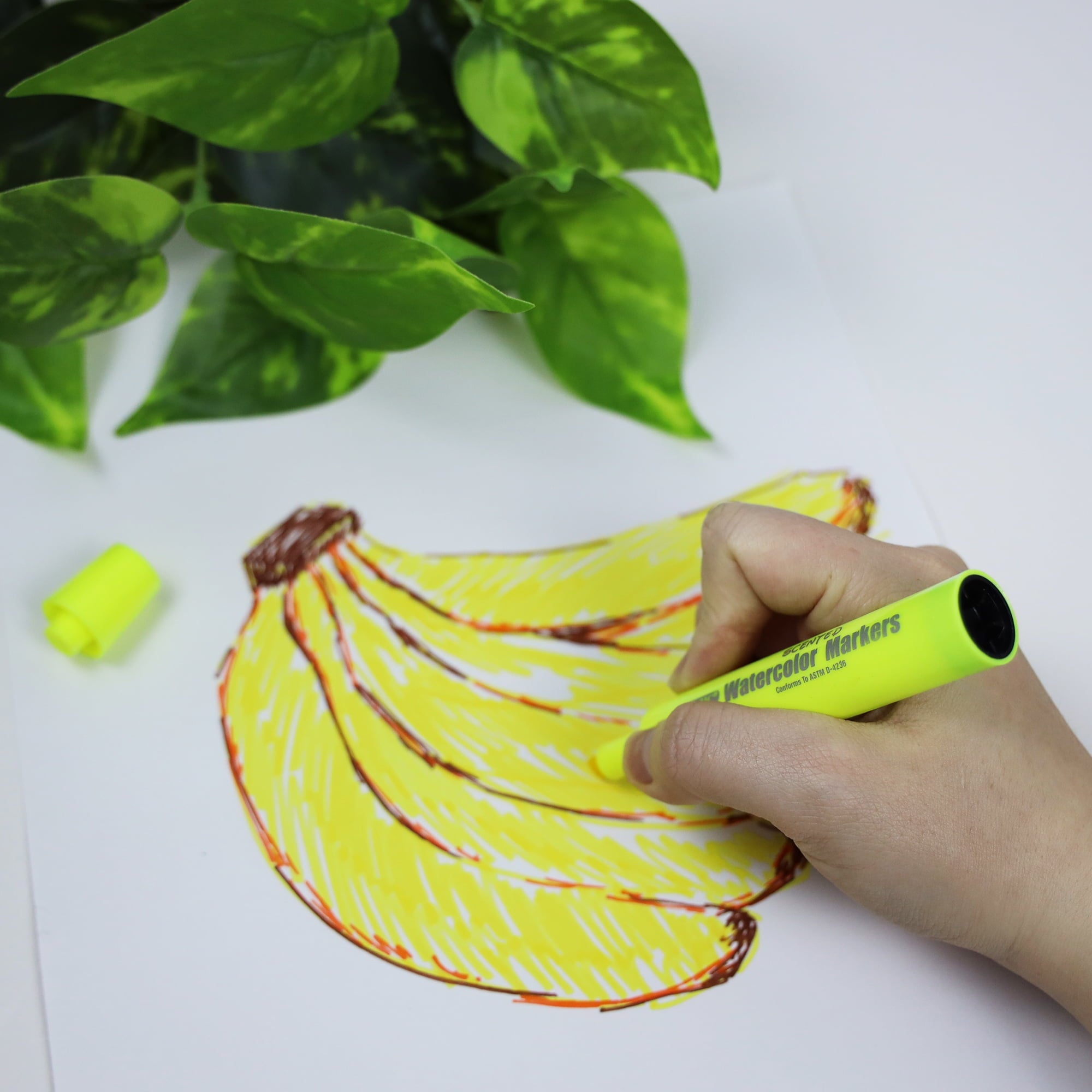 BAZIC Washable Fruit Scented Markers 10 Color Chisel Tip (10/Pack), 2-Packs