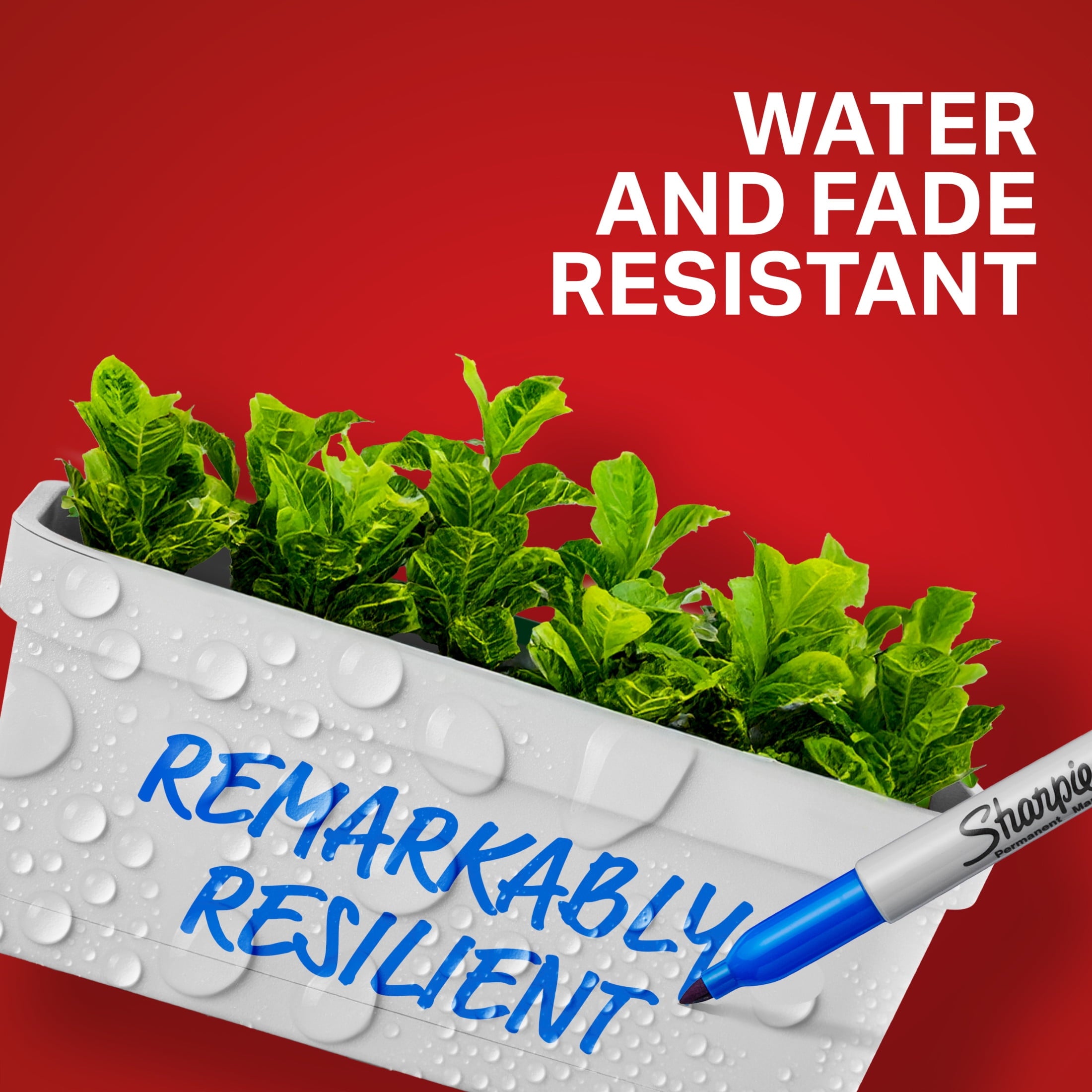 (3 pack) Sharpie Permanent Markers, Fine Point, Assorted Colors, 5 Count