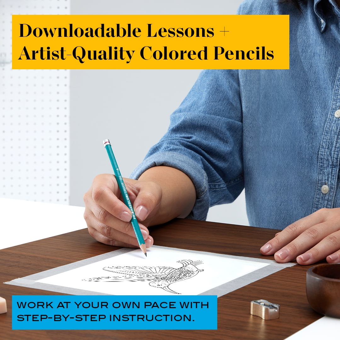 Prismacolor Technique Double-Ended Art Markers, Drawing Tutorials, Assorted Colors, 10 Count