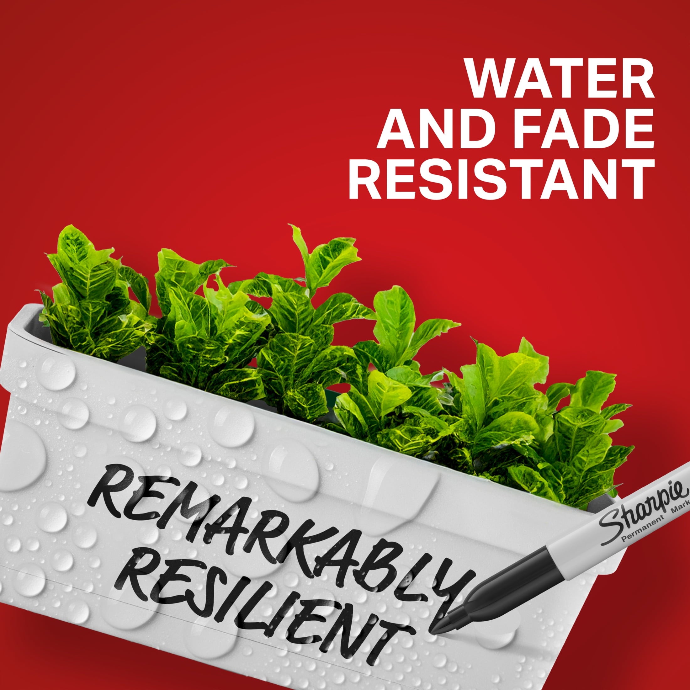 Sharpie Permanent Markers, Fine Point, Black, 24 Count