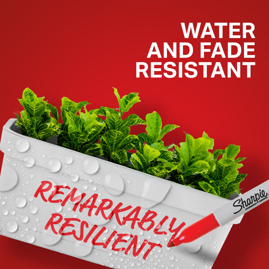 Sharpie Permanent Markers, Fine Point, Red, 12 Count