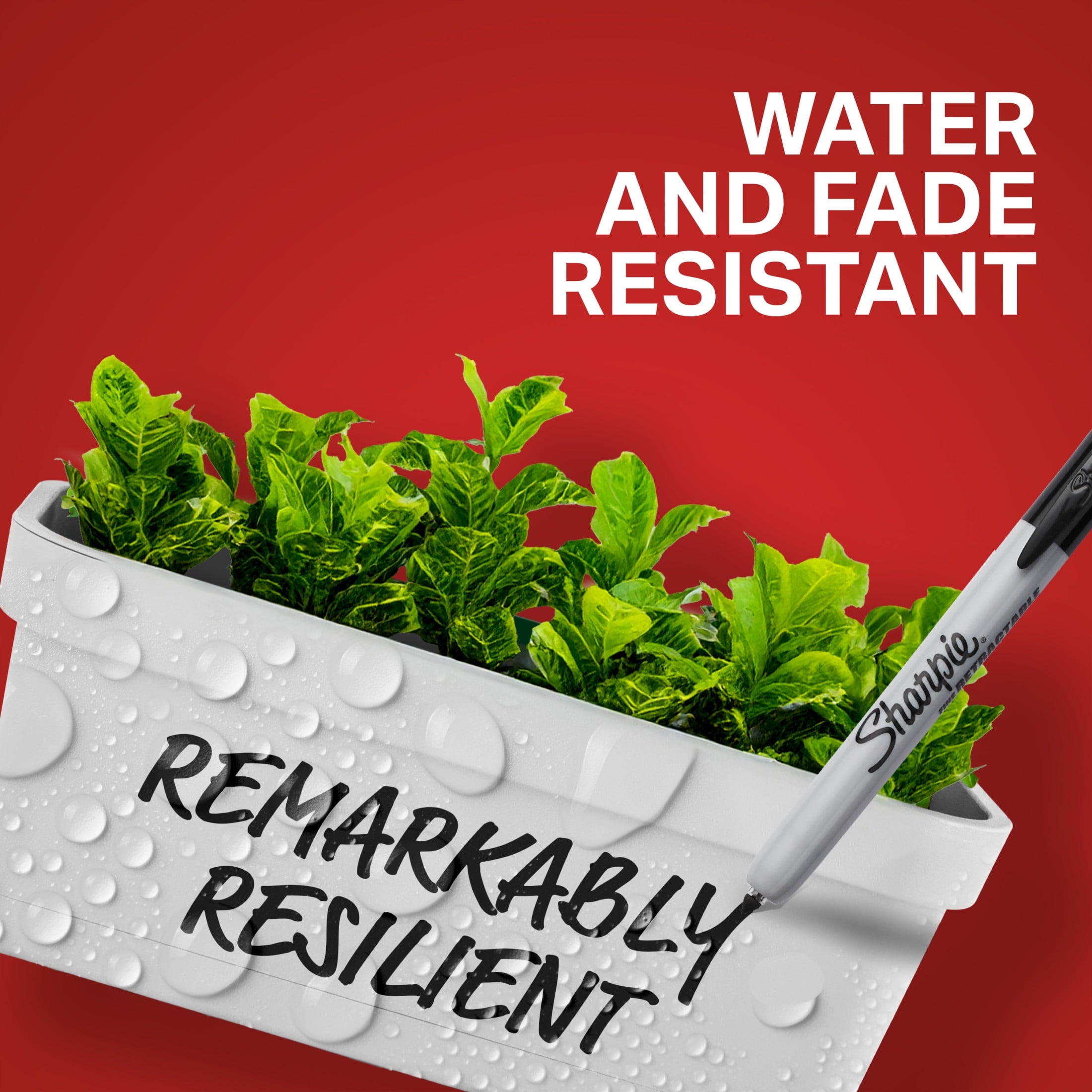 Sharpie Fine Point Retractable Markers, Assorted Colors, 8 Count