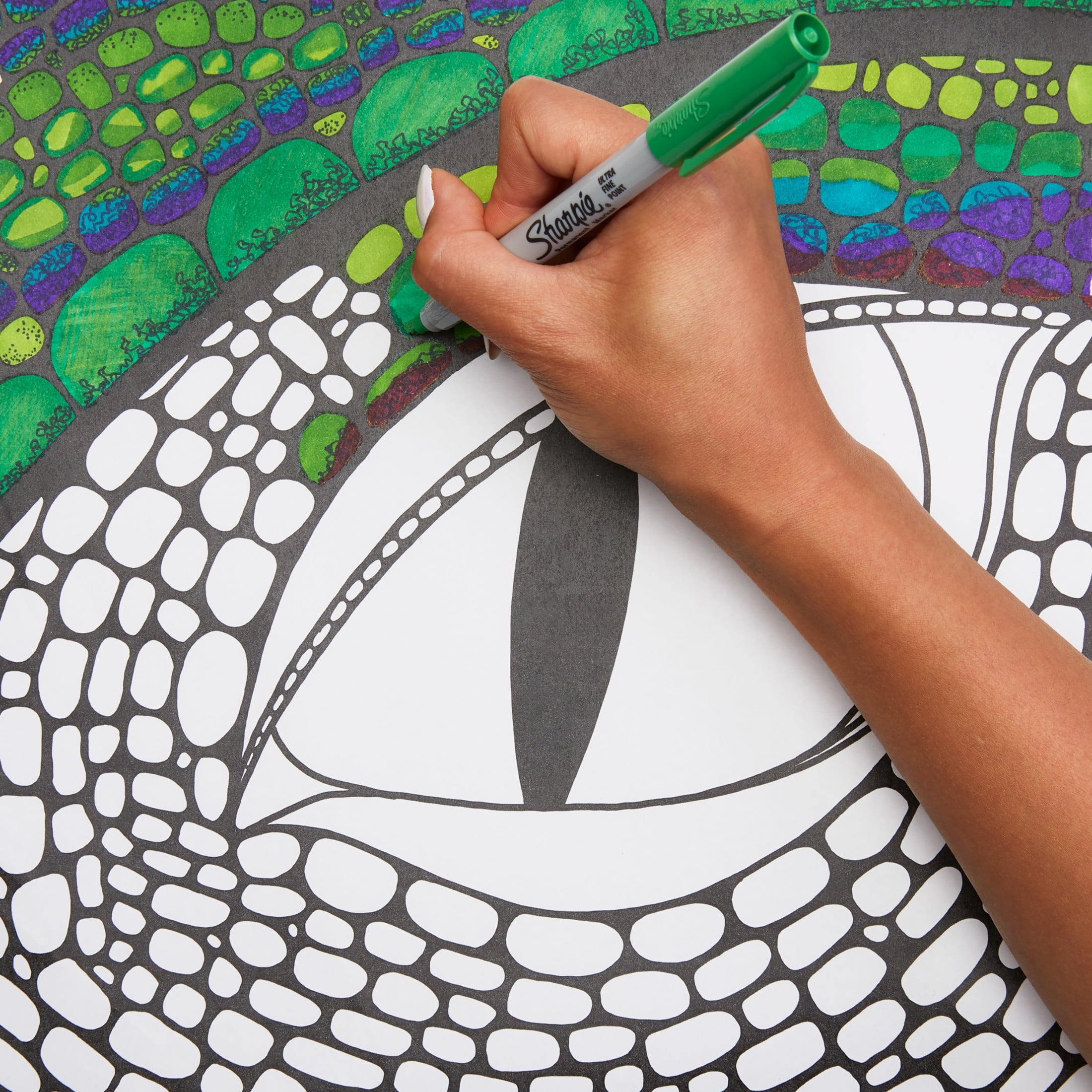 Sharpie Permanent Markers, Ultra Fine Point, Blue, Dozen