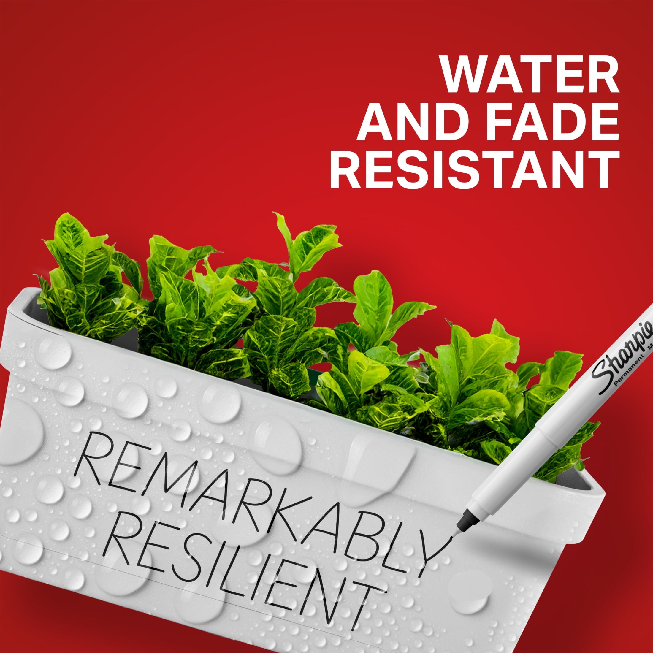 Sharpie Permanent Markers, Ultra Fine Point, Blue, Dozen