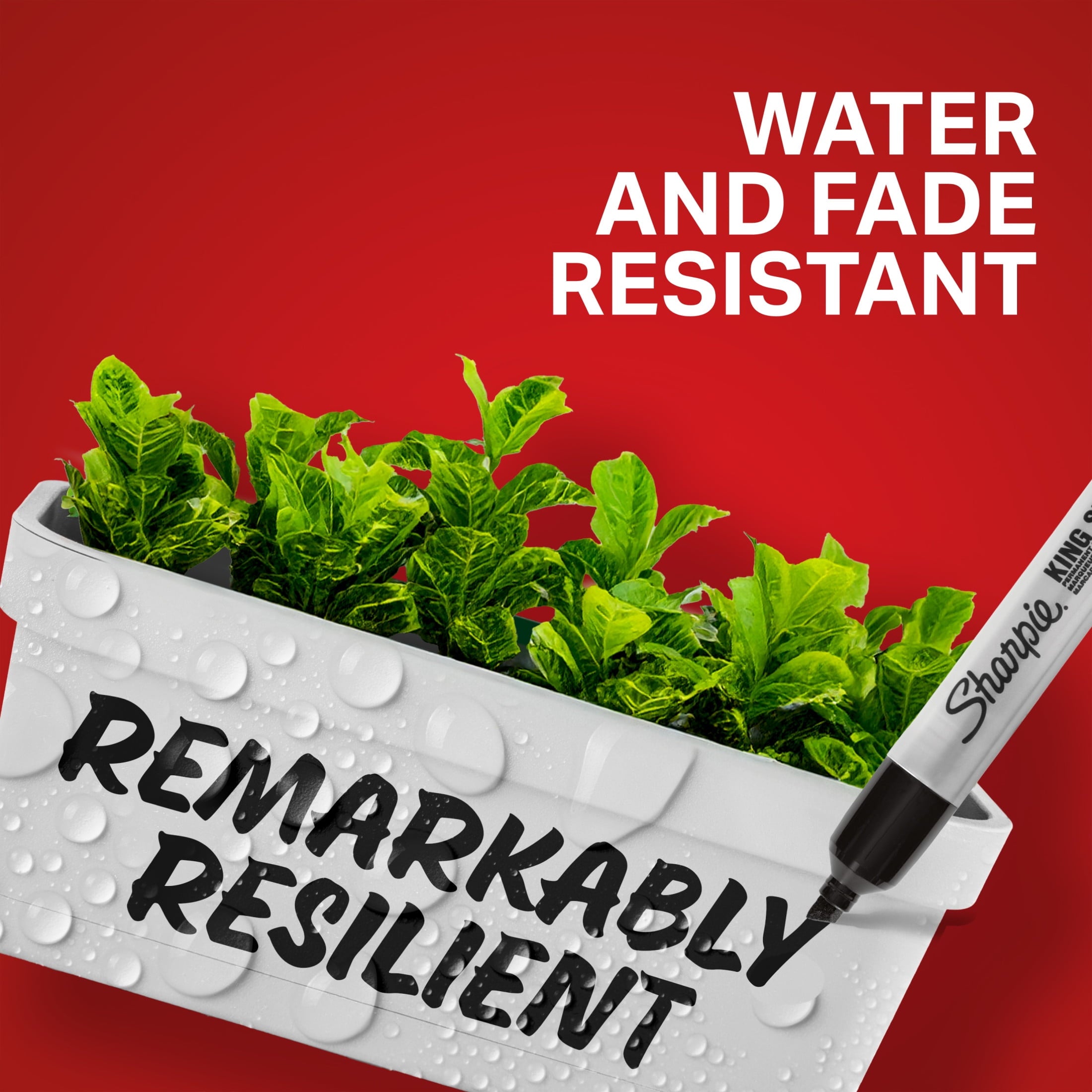 Sharpie King Size Permanent Marker, Large Chisel Tip, Great for Poster Boards, Assorted, 4 Count