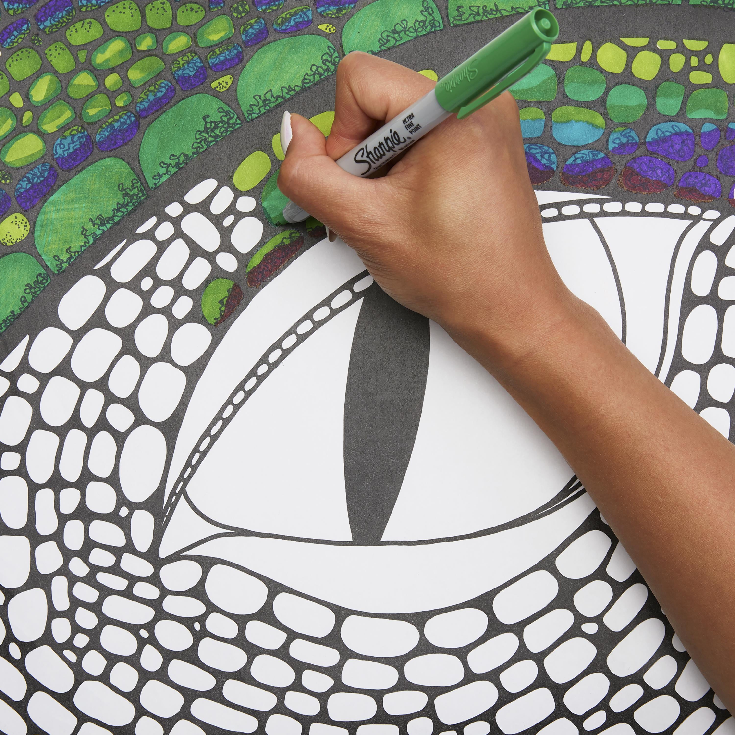 Sharpie Permanent Markers with Pouch, Ultra Fine Point, 24 Count