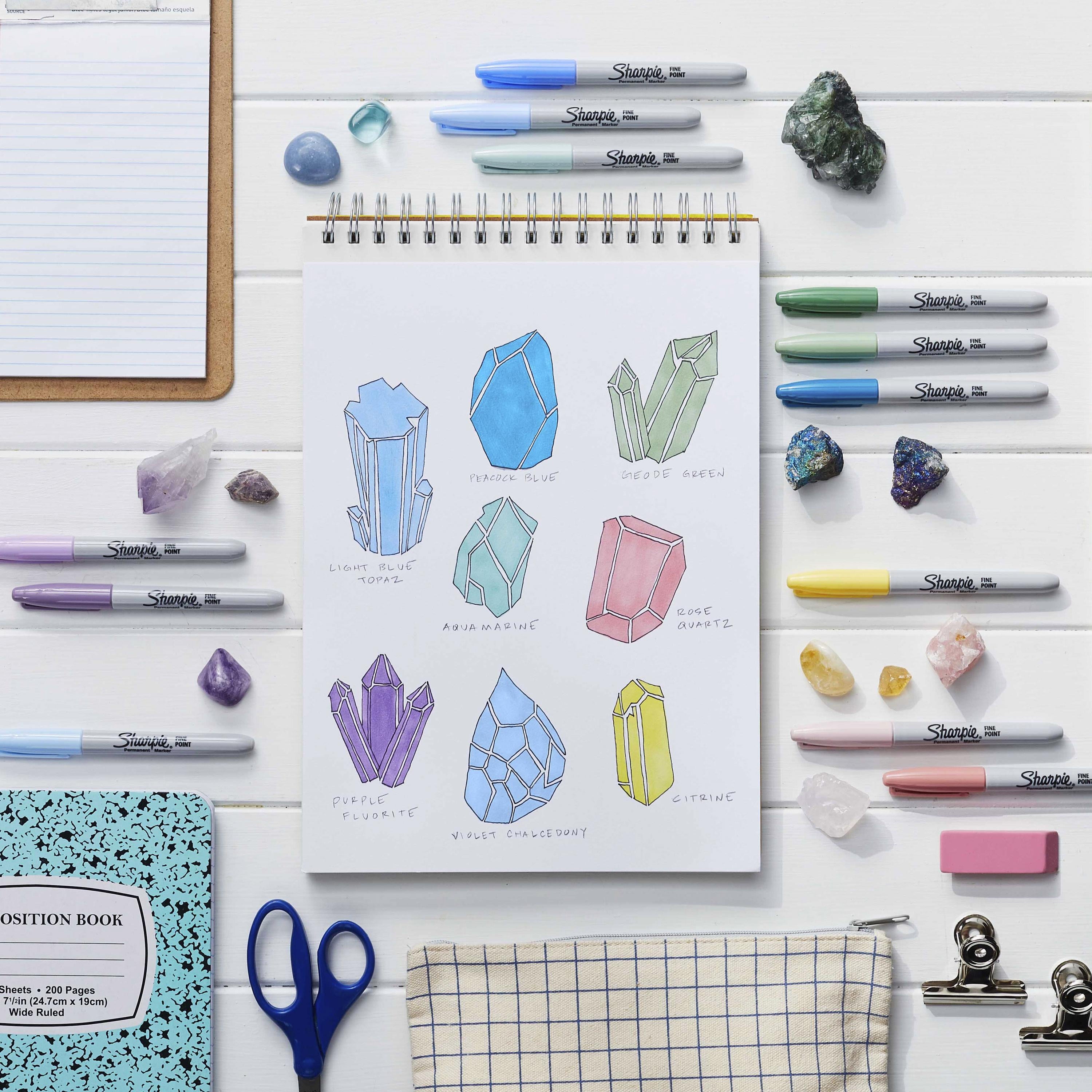 Sharpie Permanent Markers, Fine Point, Assorted Colors, 12 Count